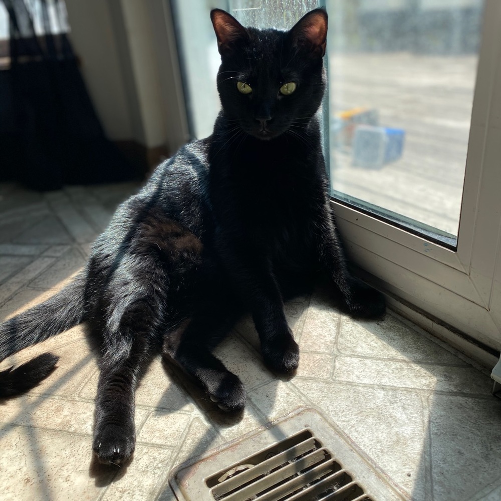 Meet your Posher, Chloe